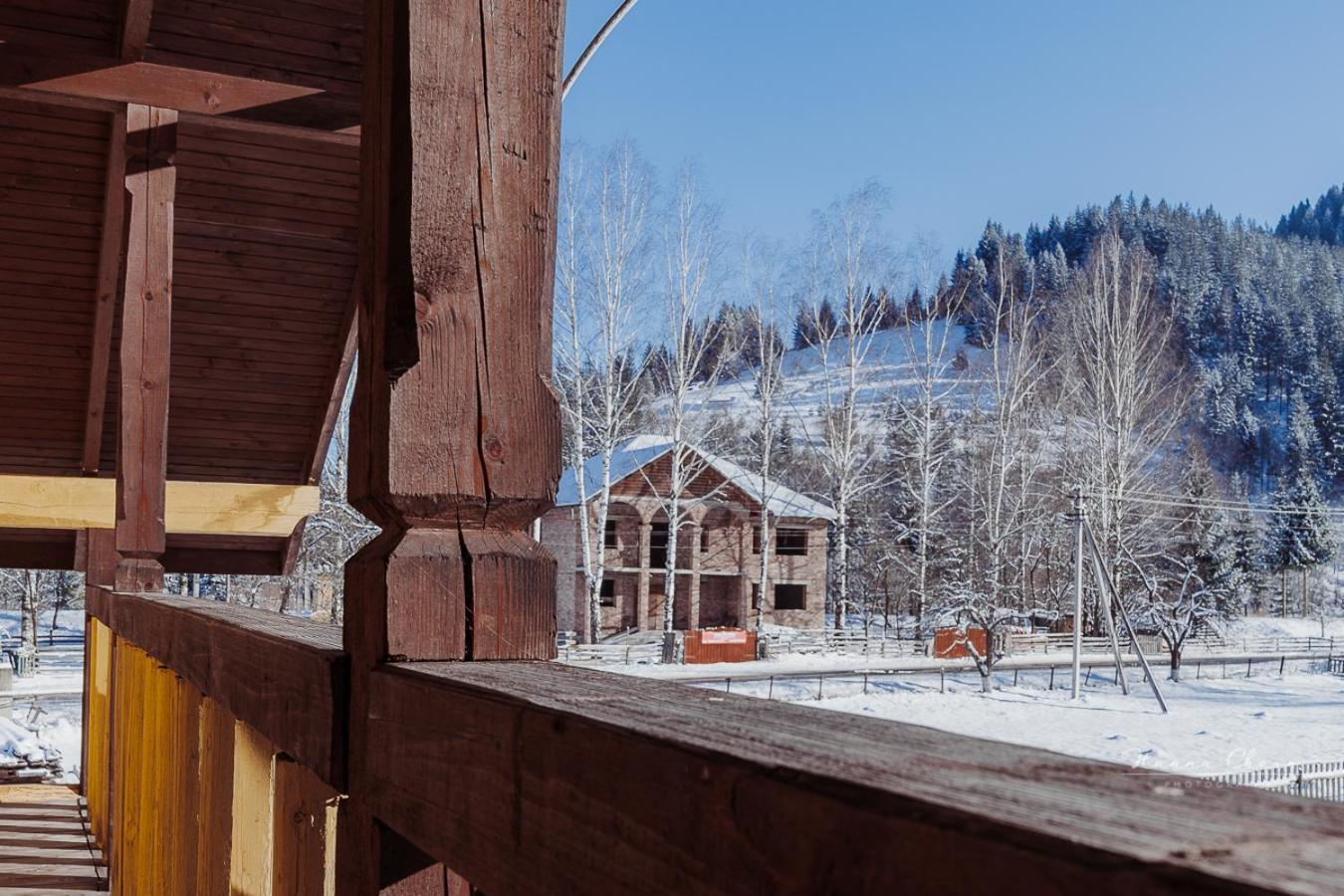 Villa 7+Я Verkhovyna Exterior foto
