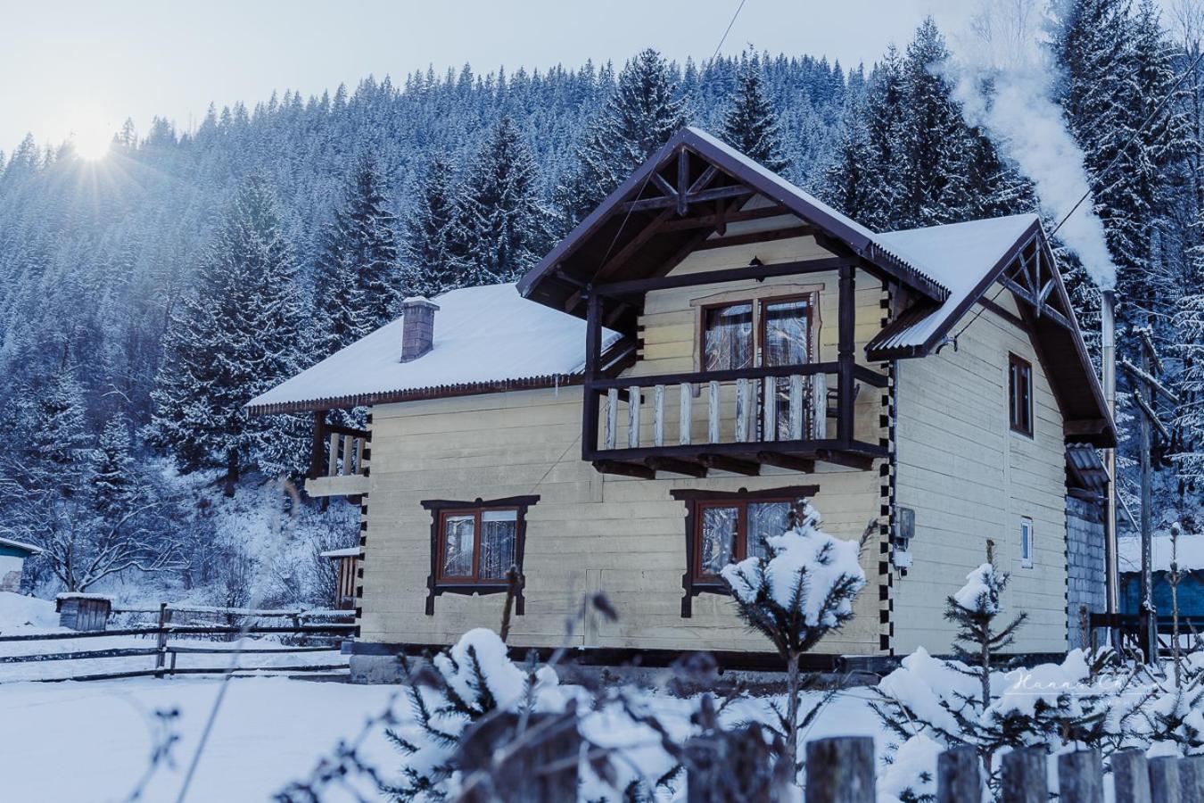 Villa 7+Я Verkhovyna Exterior foto